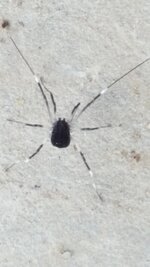 20181115_092633.jpg