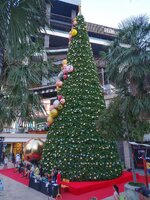 IMG_20181117_174004_edited.jpeg