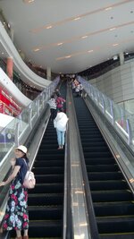 DSC_0795.JPG