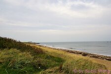 DSC01605.JPG
