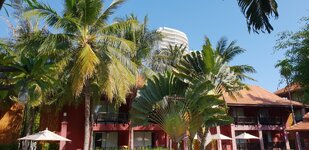 20181206_095046.jpg
