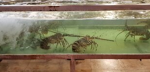 20181207_183853.jpg