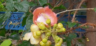 20181209_141909.jpg
