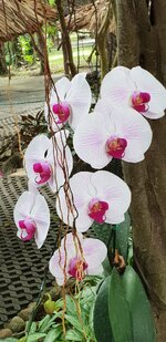 20181214_105330.jpg