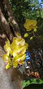 20181214_105134.jpg