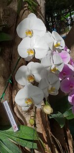 20181214_105130.jpg