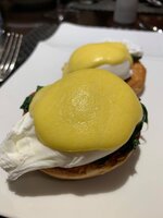 3D623937-6039-4F61-88B5-2961C6A4EB81.jpeg
