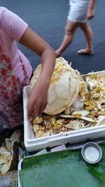 Thai Frucht 001.jpg