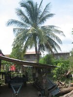 028.JPG 2.jpg