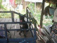 029.JPG 2.jpg