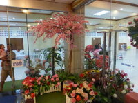 p1030854omu3k.jpg