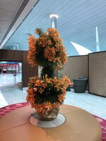 1750135E-C107-4E32-8EB6-9EF5E6500A1D.jpeg