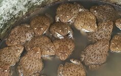 20190206_123912_edited_edited.jpeg