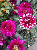 20190128_130945.jpg
