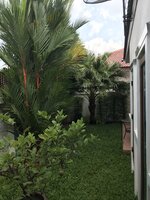 A7C86A77-D304-4328-BA6E-47BD7A6E74CA.jpeg