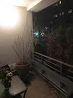 9FBCB942-12DC-4D29-B28B-27F49D87C00E.jpeg