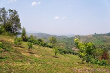 DSC04433.JPG