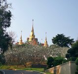 IMG_20190317_191047.jpg IMG_20190317_191047.jpg