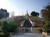 IMG_20190317_191111.jpg IMG_20190317_191111.jpg