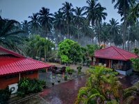 IMG_20190318_064957.jpg IMG_20190318_064957.jpg