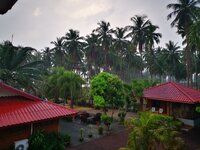 IMG_20190318_072403.jpg IMG_20190318_072403.jpg