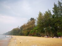 IMG_20190318_082533.jpg IMG_20190318_082533.jpg