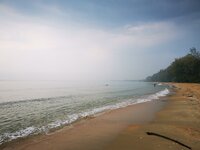 IMG_20190318_082525.jpg IMG_20190318_082525.jpg