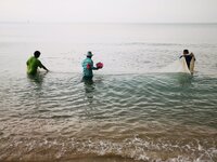 IMG_20190318_082631.jpg IMG_20190318_082631.jpg