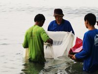 IMG_20190318_082749.jpg IMG_20190318_082749.jpg