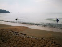 IMG_20190318_082512.jpg IMG_20190318_082512.jpg