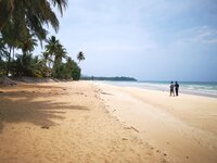 IMG_20190318_131411.jpg IMG_20190318_131411.jpg