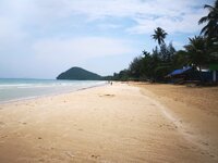 IMG_20190318_131341.jpg IMG_20190318_131341.jpg