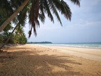 IMG_20190318_131428.jpg IMG_20190318_131428.jpg