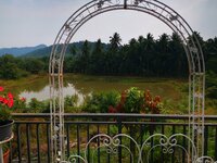 IMG_20190318_140052.jpg IMG_20190318_140052.jpg