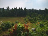 IMG_20190318_140121.jpg IMG_20190318_140121.jpg