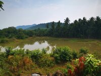 IMG_20190318_140142.jpg IMG_20190318_140142.jpg