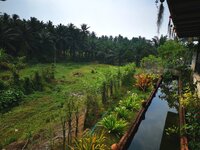 IMG_20190318_140158.jpg IMG_20190318_140158.jpg