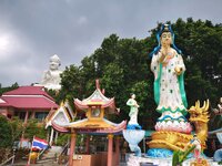 IMG_20190318_164606.jpg IMG_20190318_164606.jpg