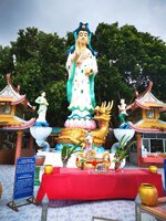 IMG_20190318_164452.jpg IMG_20190318_164452.jpg