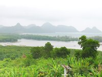 IMG_20190318_175055.jpg IMG_20190318_175055.jpg