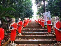 IMG_20190318_174954.jpg IMG_20190318_174954.jpg