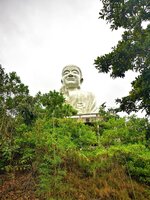 IMG_20190318_175009.jpg IMG_20190318_175009.jpg