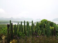 IMG_20190318_175253.jpg IMG_20190318_175253.jpg