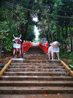 IMG_20190318_174940.jpg IMG_20190318_174940.jpg