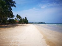 IMG_20190318_190119.jpg IMG_20190318_190119.jpg