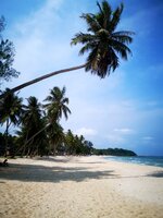 IMG_20190318_190346.jpg IMG_20190318_190346.jpg