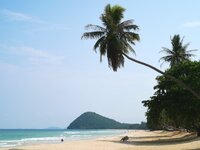 IMG_20190318_190402.jpg IMG_20190318_190402.jpg