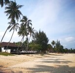 IMG_20190318_190302.jpg IMG_20190318_190302.jpg