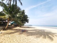 IMG_20190318_190502.jpg IMG_20190318_190502.jpg