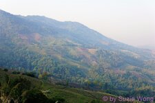 DSC05560.JPG